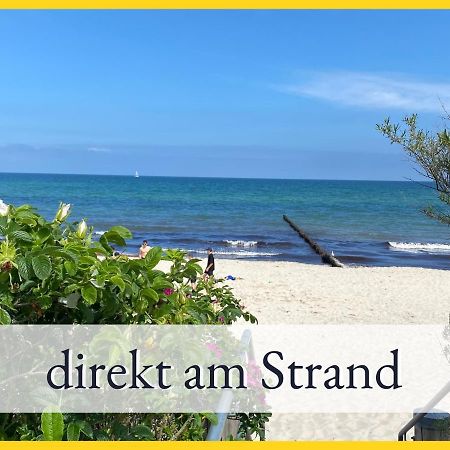 3 Zimmer App Duenengarten Fewo 58 Ostseebad Kühlungsborn Eksteriør bilde
