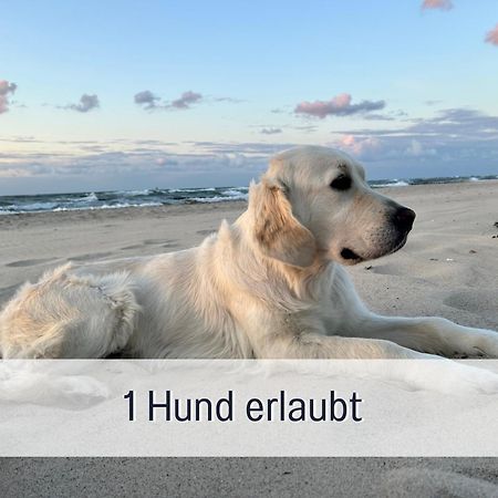 3 Zimmer App Duenengarten Fewo 58 Ostseebad Kühlungsborn Eksteriør bilde