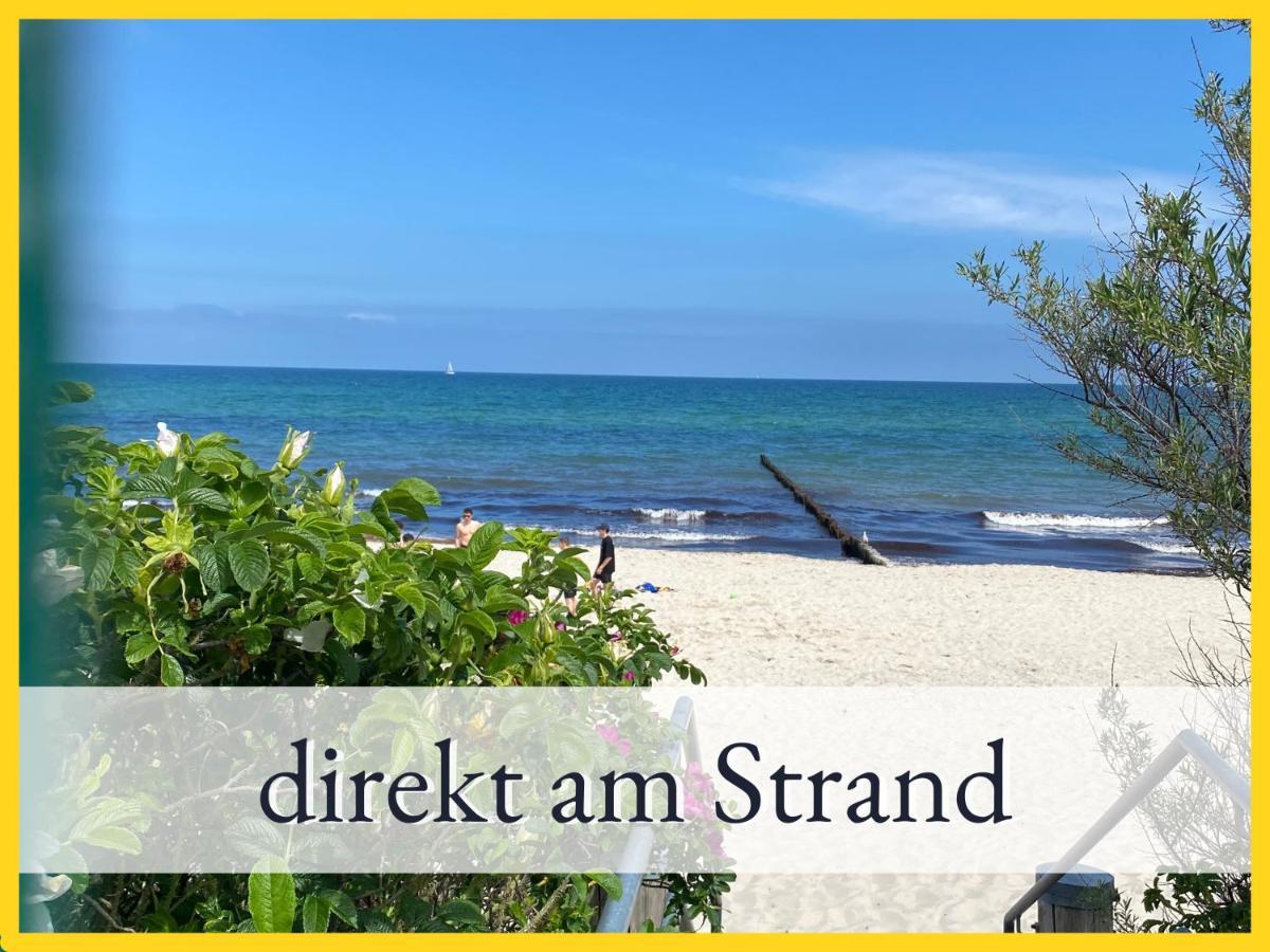 3 Zimmer App Duenengarten Fewo 58 Ostseebad Kühlungsborn Eksteriør bilde