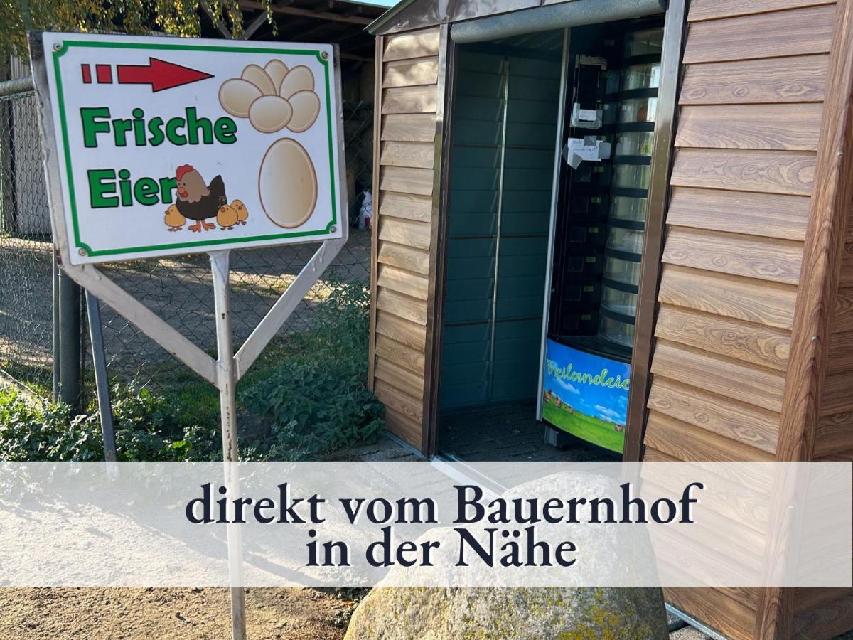 3 Zimmer App Duenengarten Fewo 58 Ostseebad Kühlungsborn Eksteriør bilde