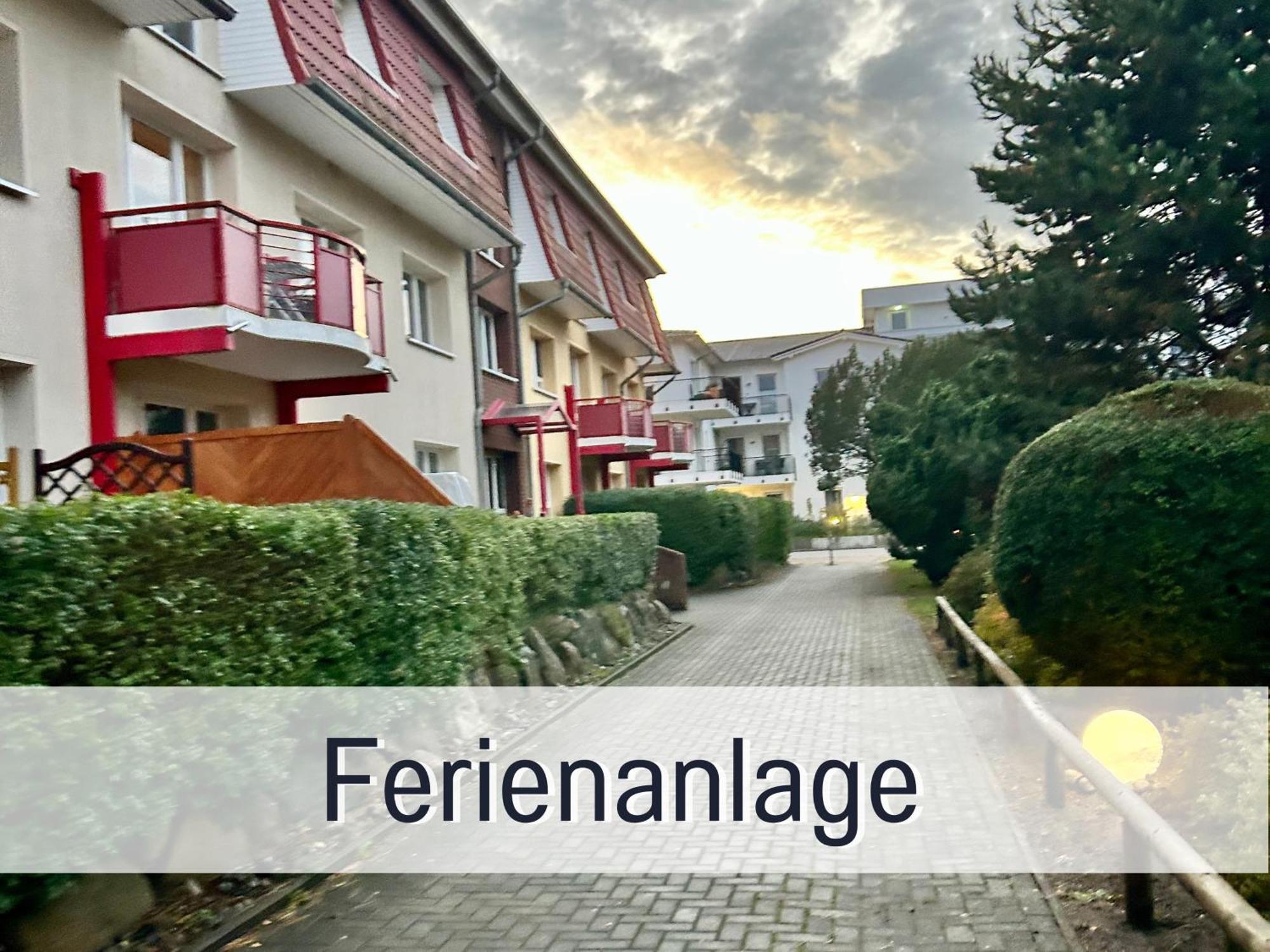 3 Zimmer App Duenengarten Fewo 58 Ostseebad Kühlungsborn Eksteriør bilde